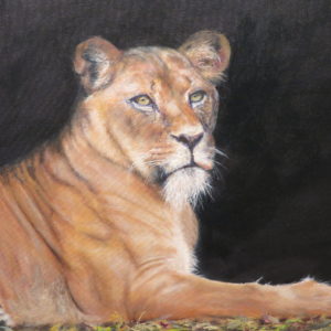 An oil painting of a lioness