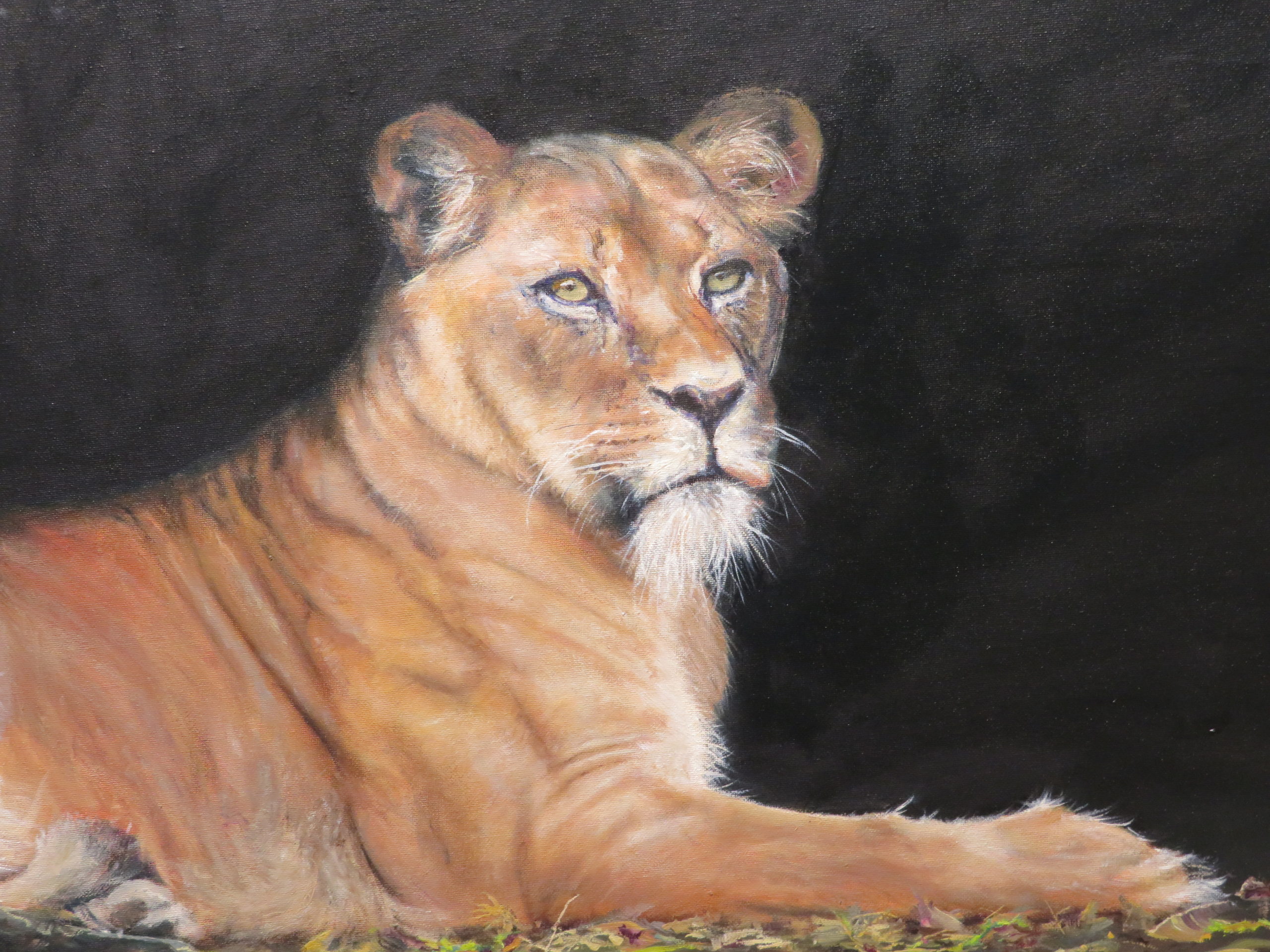 An oil painting of a lioness