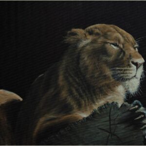 Portrait of a Lioness