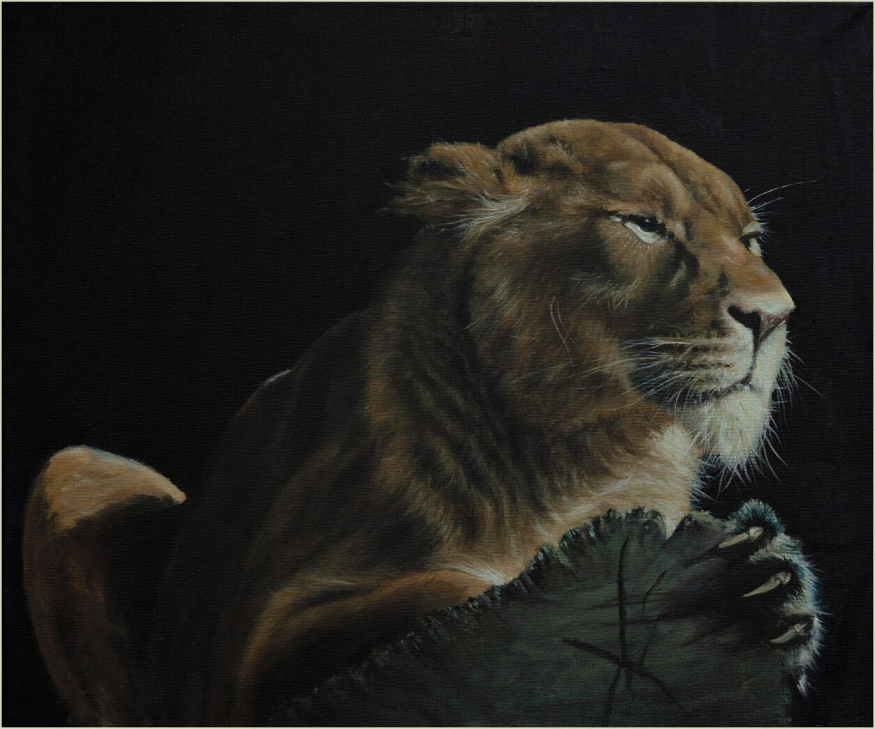 Portrait of a Lioness